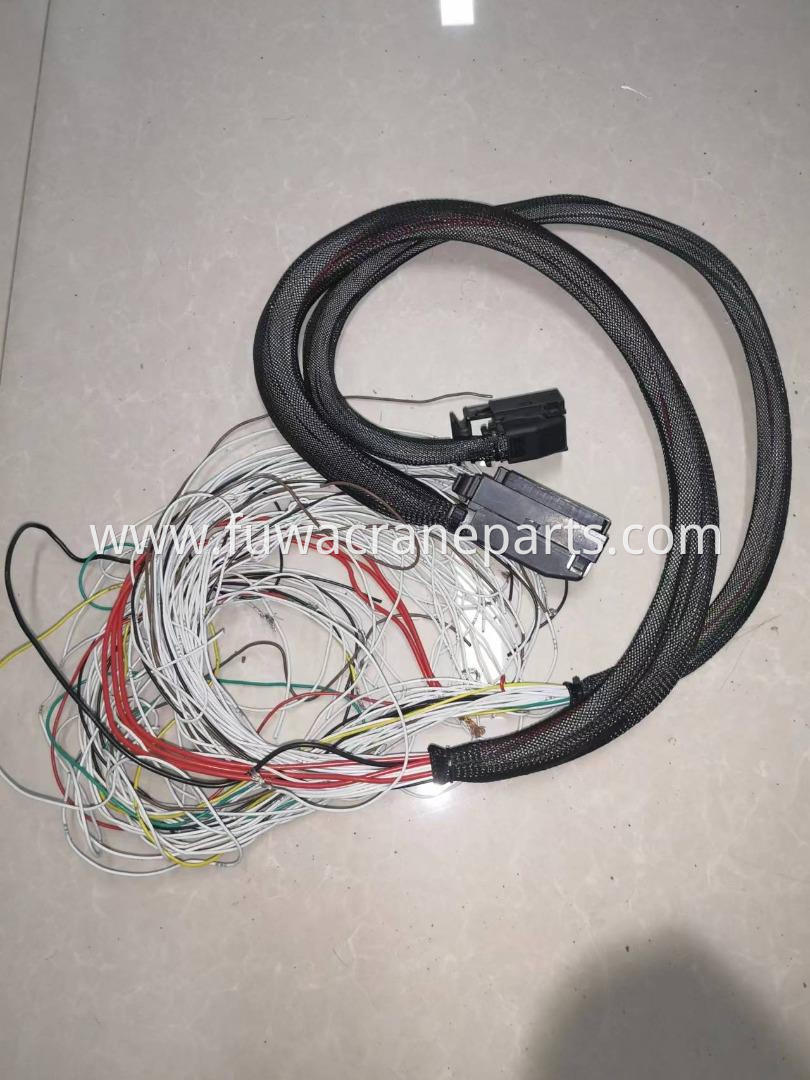 Control box PLC cable of FUWA